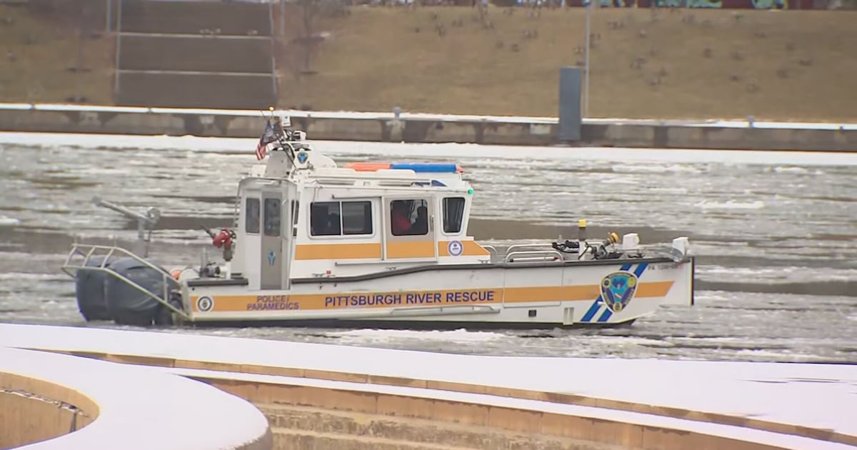 Man rescued after bringing harp worth $30K to Point State Park, jumping into freezing cold water