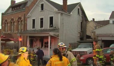 2 dogs rescued from fire in Pittsburgh’s Beltzhoover neighborhood – WPXI