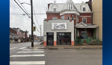 Mexican restaurant ordered closed after ‘too many to count’ mouse droppings found during inspection – WPXI