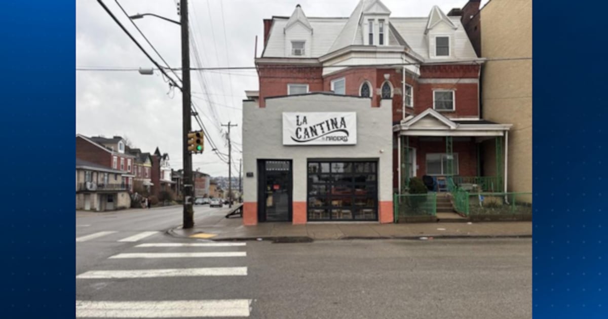 Mexican restaurant ordered closed after ‘too many to count’ mouse droppings found during inspection – WPXI