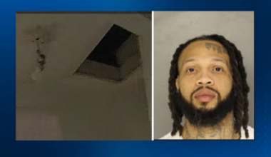 Fugitive found in attic of Pittsburgh home, sheriff says – WPXI