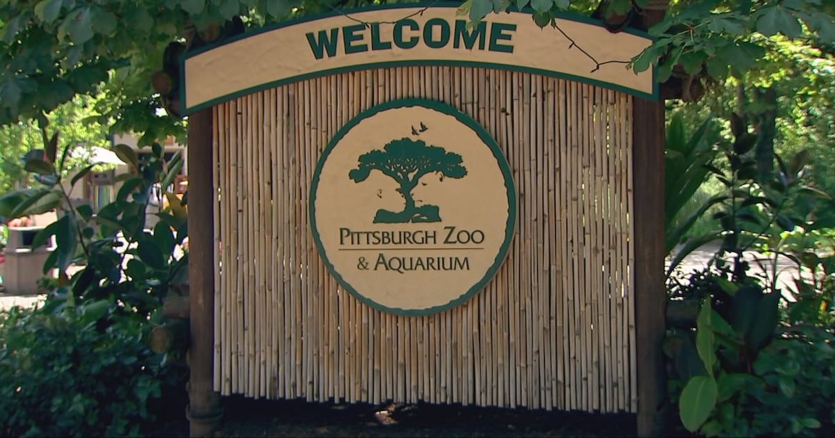 Court orders advance animal rights group’s lawsuit against Pittsburgh Zoo over elephant confinement – WPXI