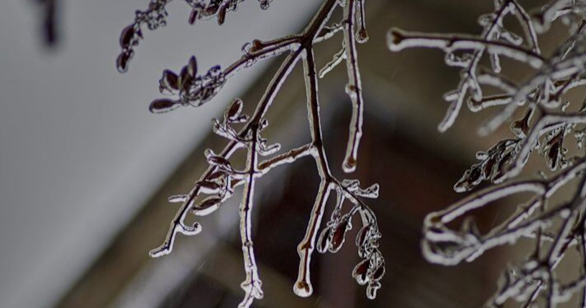 Rainy start to Wednesday could make roads icy in the evening