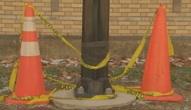 3 dogs injured or killed after being shocked while walking on city sidewalks 