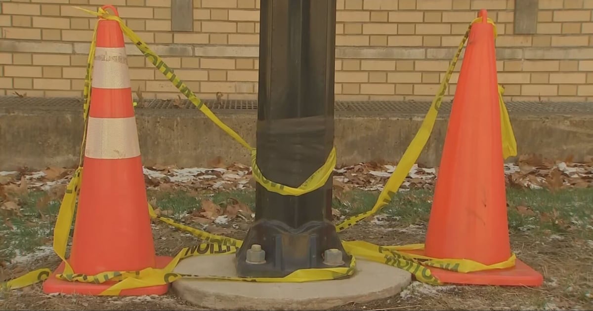 3 dogs injured or killed after being shocked while walking on city sidewalks 