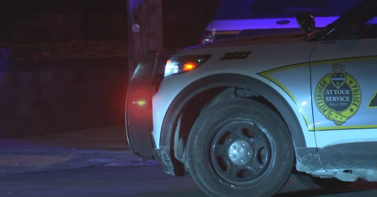 Man arrested, charged with killing his roommate at a Pittsburgh group home – WPXI