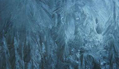 Why the Pittsburgh area could see the lowest temperatures in 30 years overnight – WPXI