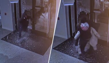 Thieves rob Lululemon in Suburban Square, get away in U-Haul – NBC10 Philadelphia