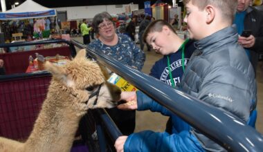 Greater Philly Pet Expo returns with dogs, cats and alpacas