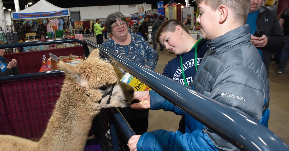 Greater Philly Pet Expo returns with dogs, cats and alpacas