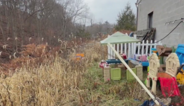 Pittsburgh permitting problems | How one daycare had to struggle to reopen its playground