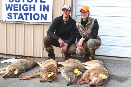 More than 30 predator hunts scheduled across Pennsylvania