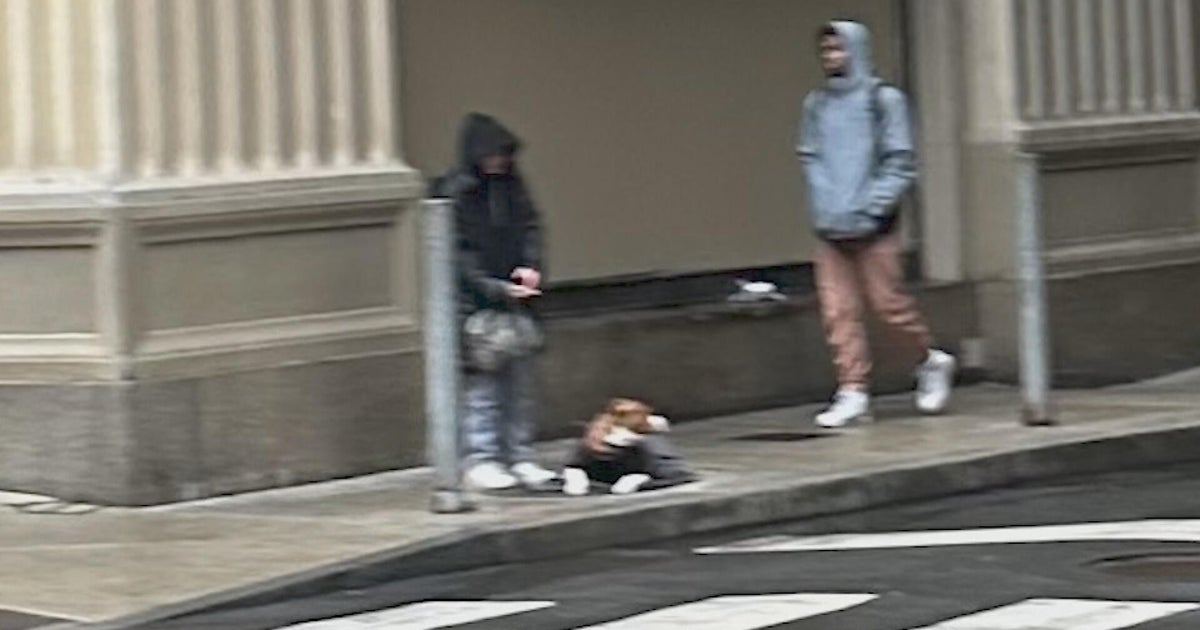 Police warn of dog attacks in Philadelphia's Center City linked to pit bull