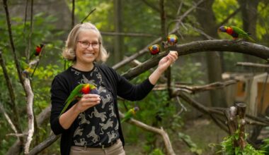 Behrend alumna is new president and CEO of Erie Zoo