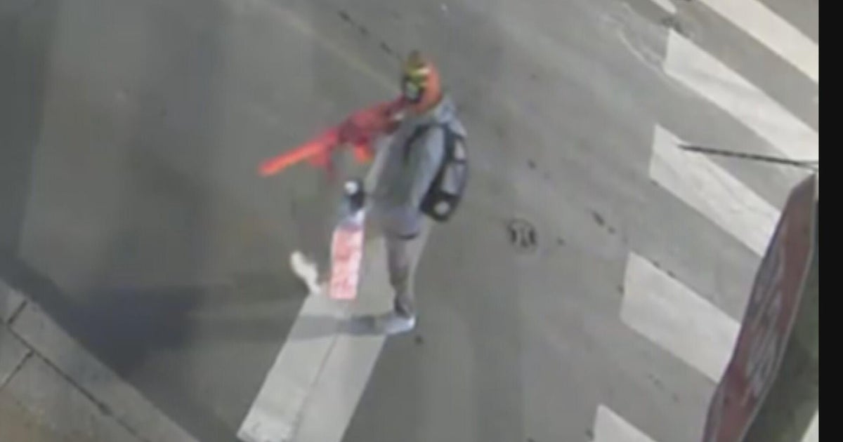 Video shows person wanted for spray painting racist graffiti on Roxborough High School walls