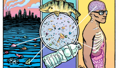 What to know about the microplastics in Lake Erie