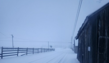 How much snow has fallen so far today?