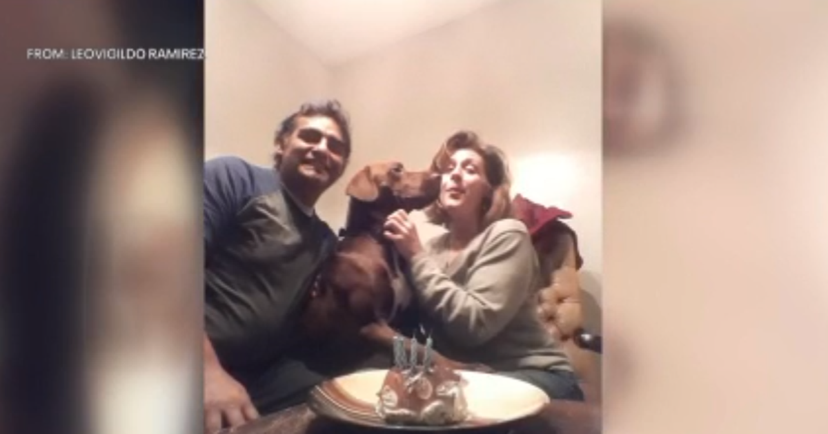 Microchip helps Wisconsin man find lost dog in Philadelphia