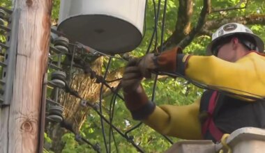 More needs to be done to prepare for storm damage in Pittsburgh region, new report says