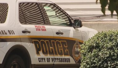 Police use pepper spray to break up large fight outside Pittsburgh high school