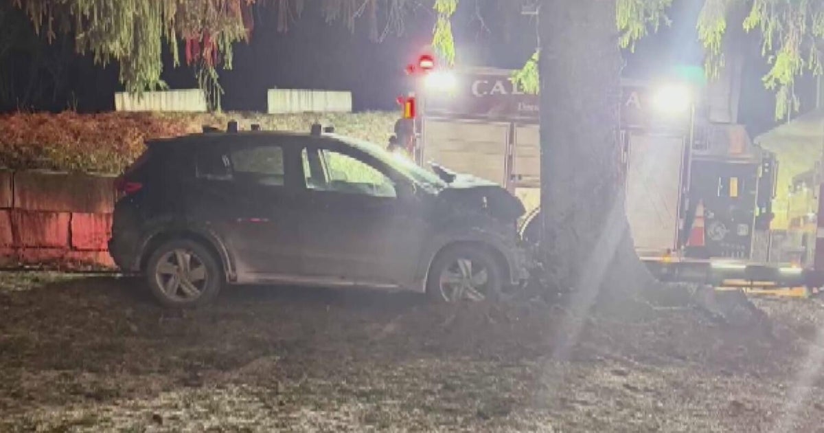 Alcohol suspected after driver crashes into tree in Washington County, police say