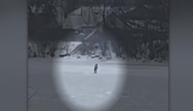 Wanted man in Pittsburgh area tries to evade police by walking on frozen Allegheny River