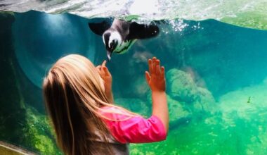 10 weekend events for Pittsburgh-area families Jan 23-25: World of Wheels, PirateFest and much more