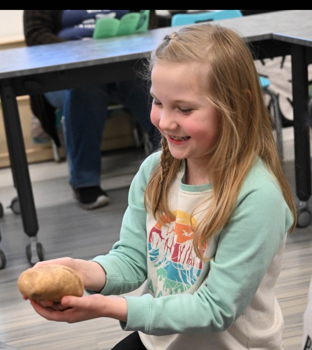 Taylor Roy digs for a potato Tuesday, Jan. 13, 2026, during 4-H at the Library at Parkland Community Library in South Whitehall Township. The program allows children to explore a range of topics through the 4-H curriculum, with each session offering a new theme, such as science experiments and robotics, art projects, healthy living, and agriculture. (Amy Shortell/The Morning Call)
