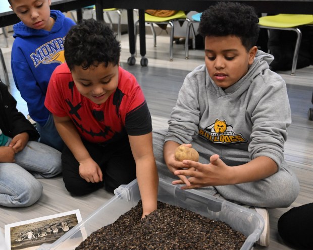 Maverick Carmichael,left, digs for a potato Tuesday, Jan. 13, 2026, during 4-H at the Library at Parkland Community Library in South Whitehall Township. The program allows children to explore a range of topics through the 4-H curriculum, with each session offering a new theme, such as science experiments and robotics, art projects, healthy living, and agriculture. (Amy Shortell/The Morning Call)