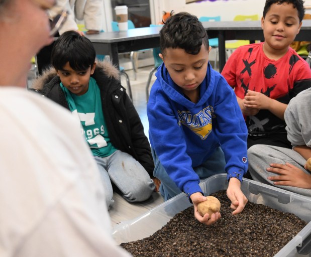 Zion Carmichael digs for a potato Tuesday, Jan. 13, 2026, during 4-H at the Library at Parkland Community Library in South Whitehall Township. The program allows children to explore a range of topics through the 4-H curriculum, with each session offering a new theme, such as science experiments and robotics, art projects, healthy living, and agriculture. (Amy Shortell/The Morning Call)