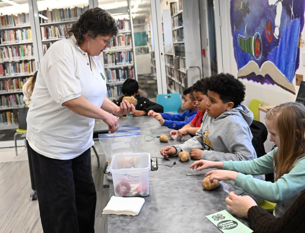Ellen Siftar leads a potato battery activity Tuesday, Jan. 13, 2026, during 4-H at the Library at Parkland Community Library in South Whitehall Township. The program allows children to explore a range of topics through the 4-H curriculum, with each session offering a new theme, such as science experiments and robotics, art projects, healthy living, and agriculture. (Amy Shortell/The Morning Call)