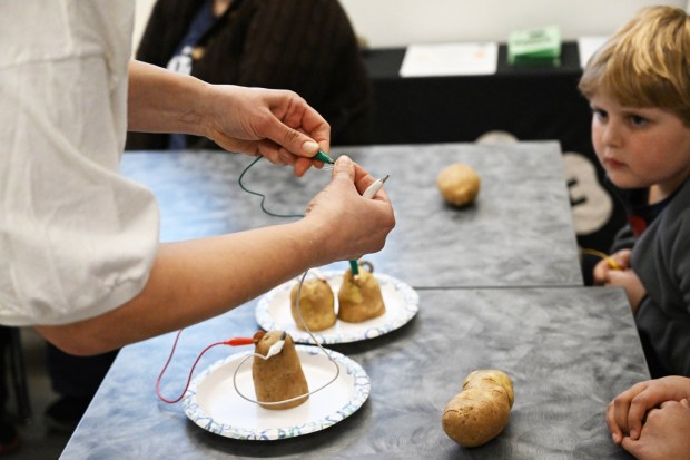 Ellen Siftar leads a potato battery activity Tuesday, Jan. 13, 2026, during 4-H at the Library at Parkland Community Library in South Whitehall Township. The program allows children to explore a range of topics through the 4-H curriculum, with each session offering a new theme, such as science experiments and robotics, art projects, healthy living, and agriculture. (Amy Shortell/The Morning Call)