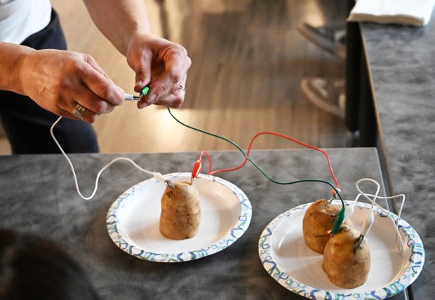 Ellen Siftar leads a potato battery activity Tuesday, Jan. 13, 2026, during 4-H at the Library at Parkland Community Library in South Whitehall Township. The program allows children to explore a range of topics through the 4-H curriculum, with each session offering a new theme, such as science experiments and robotics, art projects, healthy living, and agriculture. (Amy Shortell/The Morning Call)