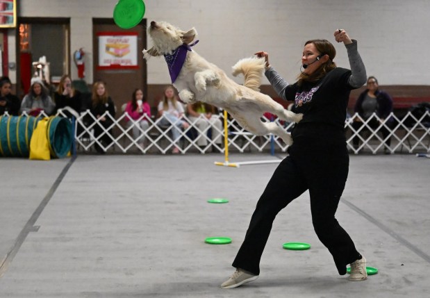 Echo, a rescue dog, performs tricks Friday, Jan. 31, 2025, during the Dynamo Dogs performance at the Lehigh Valley Pet Expo at the Allentown Agri-Plex in Allentown. (Amy Shortell/The Morning Call)