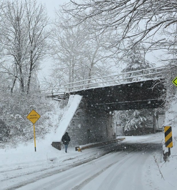 Pedestrians walk in the snow Saturday, Jan. 17, 2026, in Northampton. A winter storm dropped several inches of snow across the Lehigh Valley, leading to messy travel conditions.(Amy Shortell / The Morning Call)