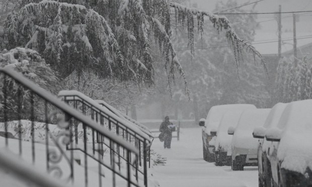 A postal worker braves the snow to deliver mail Saturday, Jan. 17, 2026, in Northampton. A winter storm dropped several inches of snow across the Lehigh Valley, leading to messy travel conditions.(Amy Shortell / The Morning Call)
