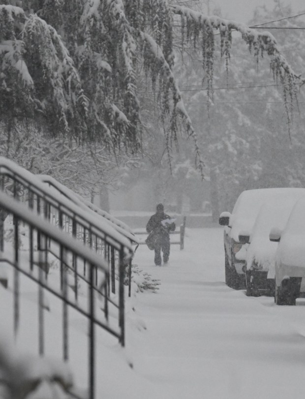 A postal worker braves the snow to deliver mail Saturday, Jan. 17, 2026, in Northampton. A winter storm dropped several inches of snow across the Lehigh Valley, leading to messy travel conditions.(Amy Shortell / The Morning Call)