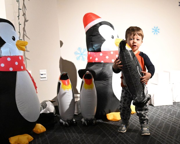 William Oplinger, 2,of Phoenixville, plays with inflatable penguins Friday, Jan. 2, 2026, in the Winter Wonder Lab exhibit at the Da Vinci Science Center in Allentown. (Amy Shortell/The Morning Call)