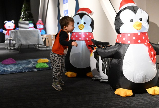 William Oplinger, 2,of Phoenixville, plays with inflatable penguins Friday, Jan. 2, 2026, in the Winter Wonder Lab exhibit at the Da Vinci Science Center in Allentown. (Amy Shortell/The Morning Call)