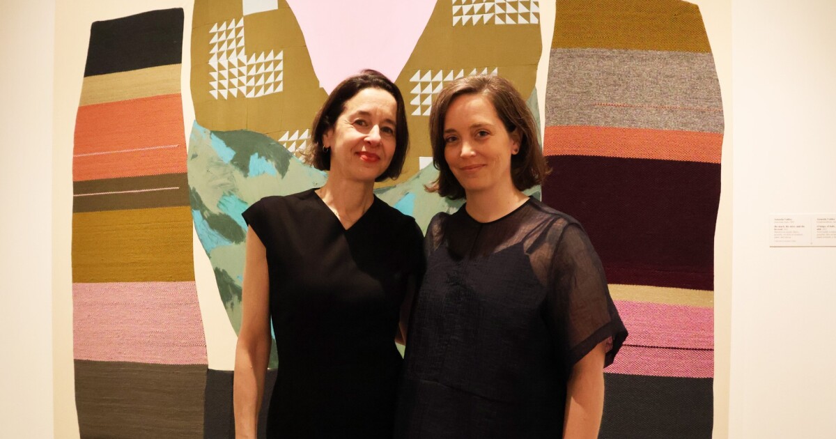 Allentown Art Museum debuts 2 contemporary voices led by women artists