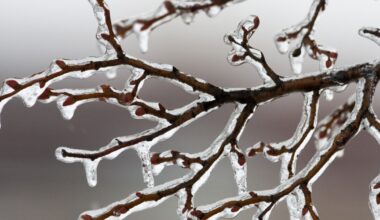 Cold prompts Pittsburgh CitiParks to open warming centers