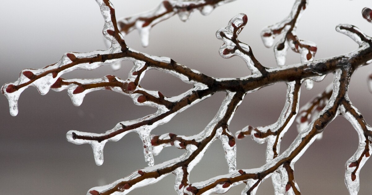 Cold prompts Pittsburgh CitiParks to open warming centers