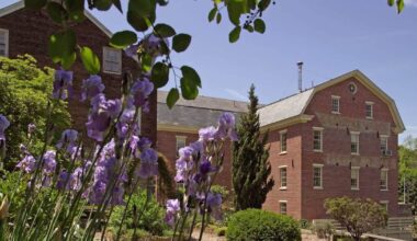 Luckenbach Mill | Landmarks with Leon