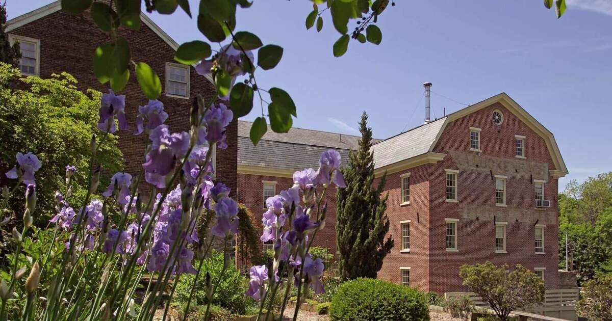 Luckenbach Mill | Landmarks with Leon