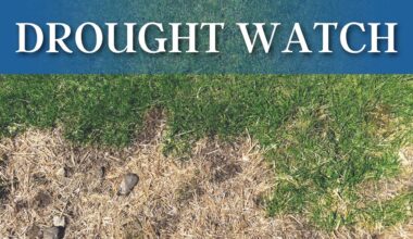 Pennsylvania American Water asks customers in Butler County to reduce water usage amid drought watch – Butler Eagle