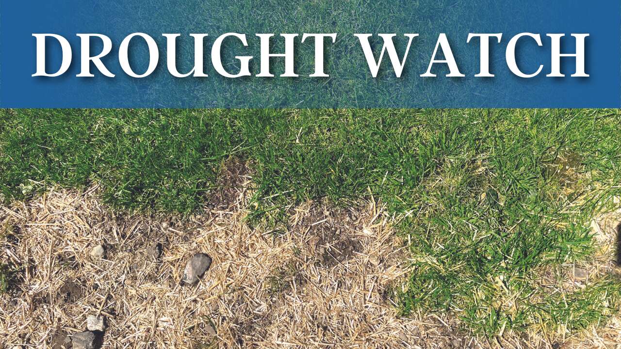 Pennsylvania American Water asks customers in Butler County to reduce water usage amid drought watch – Butler Eagle