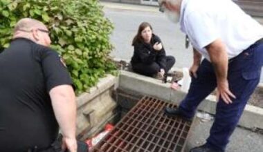 Mighty Pawz seeks helping hands – Lehigh Valley Press