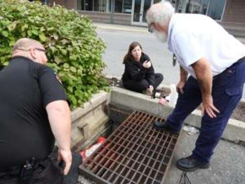 Mighty Pawz seeks helping hands – Lehigh Valley Press