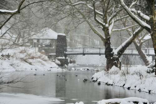 Clean up efforts get the job done – Lehigh Valley Press