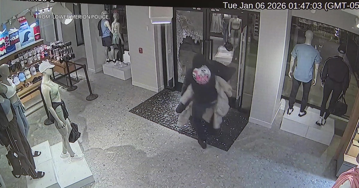 Smash-and-grab burglary at Lululemon store in Ardmore under investigation